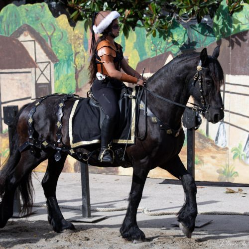 4781408747405060872 - Leeloo Ferrié Vidal